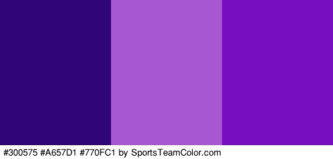 #300575 #A657D1 #770FC1 Colors