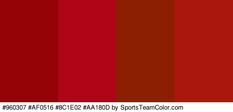 #960307 #AF0516 #8C1E02 #AA180D Colors