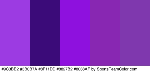 #9C3BE2 #3B0B7A #8F11DD #8827B2 #8038AF Colors