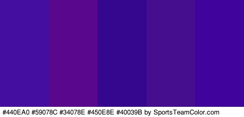 #440EA0 #59078C #34078E #450E8E #40039B Colors