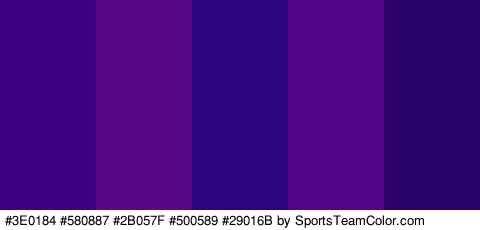 #3E0184 #580887 #2B057F #500589 #29016B Colors