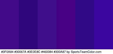 #3F0A84 #30067A #3E0E8C #460084 #300A87 #3A049E Colors