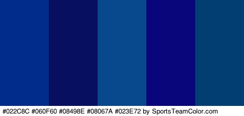 #022C8C #060F60 #08498E #08067A #023E72 Colors