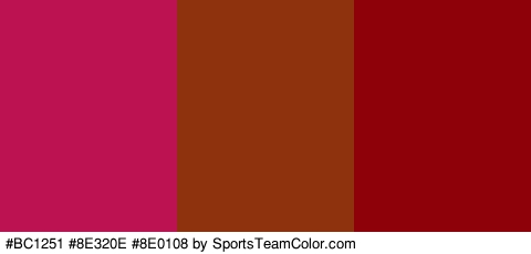 #BC1251 #8E320E #8E0108 Colors