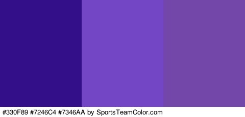 #330F89 #7246C4 #7346AA Colors