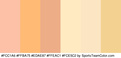 #FCC1A6 #FFBA75 #EDAE87 #FFEAC1 #FCE5C2 #F2D191 Colors