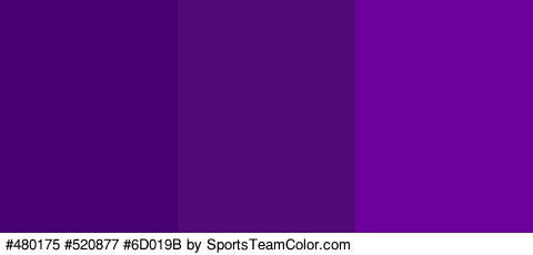 #480175 #520877 #6D019B Colors