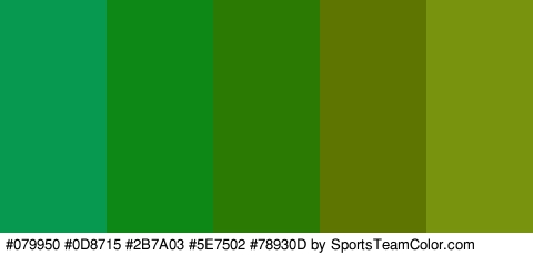 #079950 #0D8715 #2B7A03 #5E7502 #78930D Colors