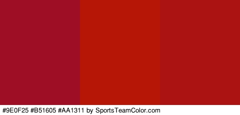 #9E0F25 #B51605 #AA1311 Colors