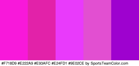 #F718D9 #E222A9 #E93AFC #E24FD1 #9E02CE Colors