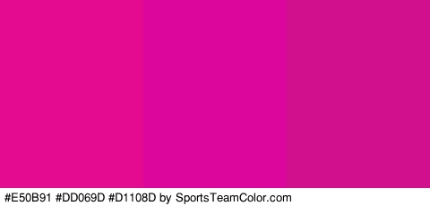 #E50B91 #DD069D #D1108D Colors