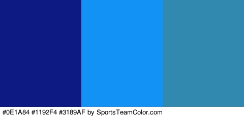 #0E1A84 #1192F4 #3189AF Colors