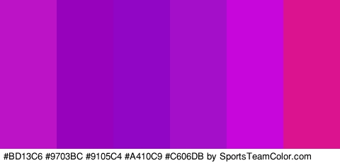 #BD13C6 #9703BC #9105C4 #A410C9 #C606DB #DB138E Colors