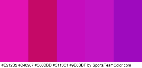 #E212B2 #C40967 #C60DBD #C113C1 #9E0BBF Colors