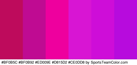 #BF0B5C #BF0B92 #ED009E #D815D2 #CE0DD8 #B70BDD Colors