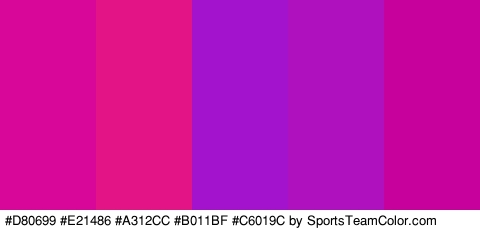 #D80699 #E21486 #A312CC #B011BF #C6019C Colors