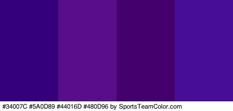 #34007C #5A0D89 #44016D #480D96 Colors