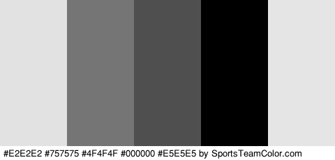 #E2E2E2 #757575 #4F4F4F #000000 #E5E5E5 Colors