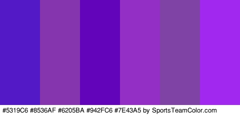 #5319C6 #8536AF #6205BA #942FC6 #7E43A5 #A028EF Colors