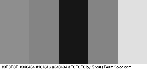 #8E8E8E #848484 #161616 #848484 #E0E0E0 Colors