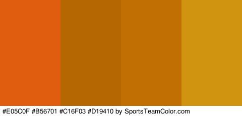 #E05C0F #B56701 #C16F03 #D19410 Colors