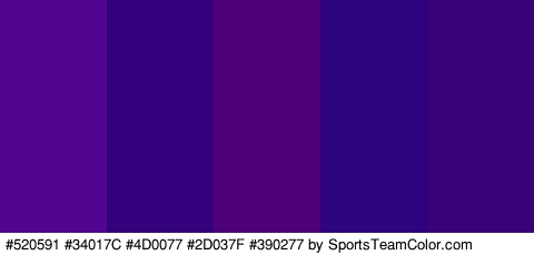 #520591 #34017C #4D0077 #2D037F #390277 Colors