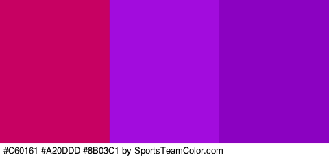 #C60161 #A20DDD #8B03C1 Colors