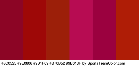 #8C0525 #9E0806 #9B1F09 #B70B52 #9B013F #AF1D07 Colors