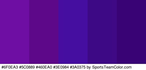 #6F0EA3 #5C0889 #460EA0 #3E0984 #3A0375 Colors