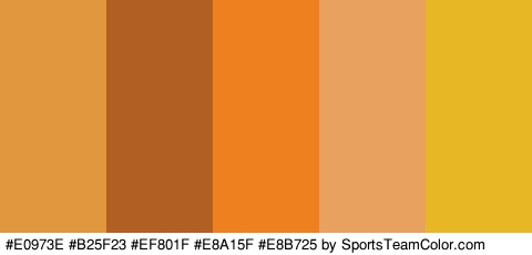 #E0973E #B25F23 #EF801F #E8A15F #E8B725 Colors