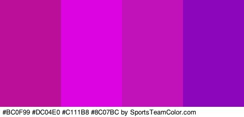 #BC0F99 #DC04E0 #C111B8 #8C07BC Colors