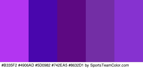 #B335F2 #4906AD #5D0982 #742EA5 #8632D1 Colors