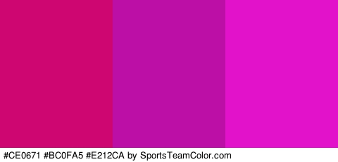 #CE0671 #BC0FA5 #E212CA Colors