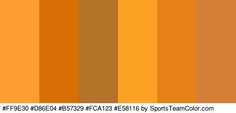 #FF9E30 #D86E04 #B57329 #FCA123 #E58116 #D37D37 Colors