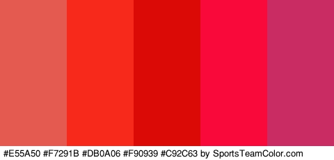 #E55A50 #F7291B #DB0A06 #F90939 #C92C63 Colors