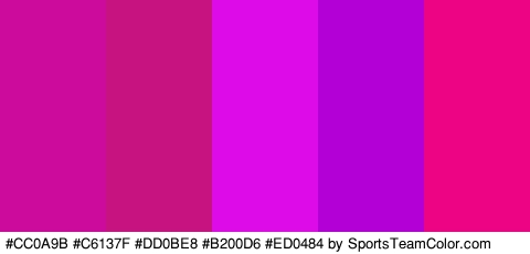 #CC0A9B #C6137F #DD0BE8 #B200D6 #ED0484 Colors