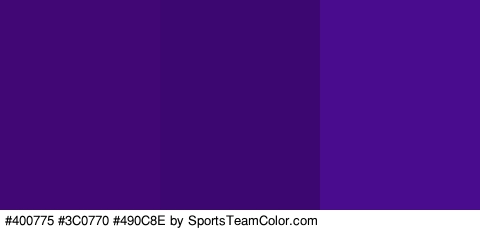 #400775 #3C0770 #490C8E Colors