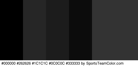 #000000 #262626 #1C1C1C #0C0C0C #333333 #333333 Colors