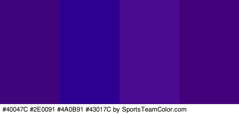 #40047C #2E0091 #4A0B91 #43017C Colors