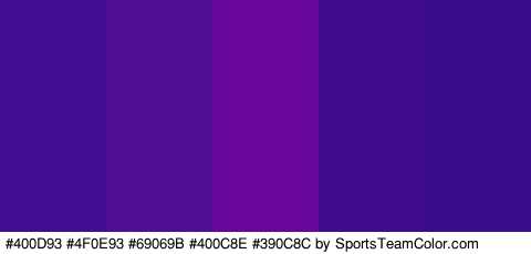 #400D93 #4F0E93 #69069B #400C8E #390C8C Colors