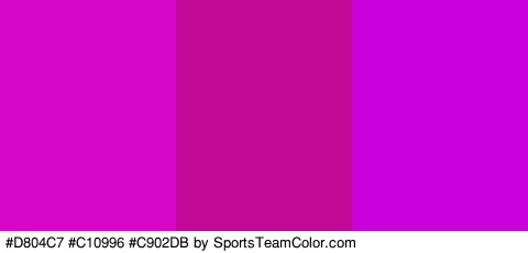 #D804C7 #C10996 #C902DB Colors