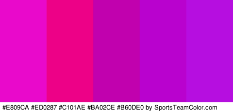 #E809CA #ED0287 #C101AE #BA02CE #B60DE0 Colors