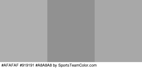 #AFAFAF #919191 #A8A8A8 Colors