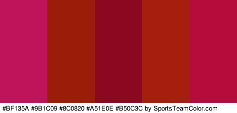 #BF135A #9B1C09 #8C0820 #A51E0E #B50C3C Colors