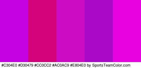 #C304E0 #D30479 #CC0CC2 #AC0AC9 #E804E0 Colors