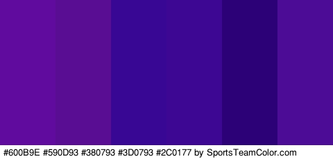 #600B9E #590D93 #380793 #3D0793 #2C0177 #4C0C96 Colors