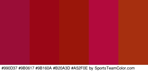 #990D37 #9B0617 #9B160A #B20A3D #A52F0E Colors