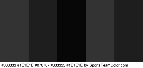 #333333 #1E1E1E #070707 #333333 #1E1E1E Colors