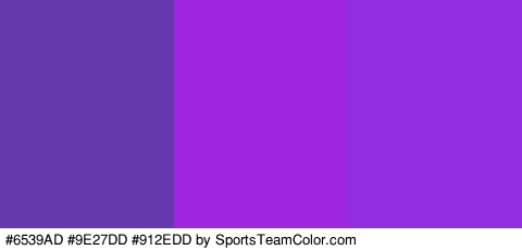 #6539AD #9E27DD #912EDD Colors