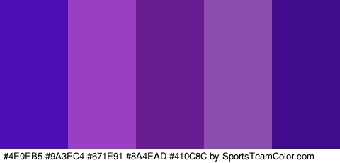 #4E0EB5 #9A3EC4 #671E91 #8A4EAD #410C8C Colors